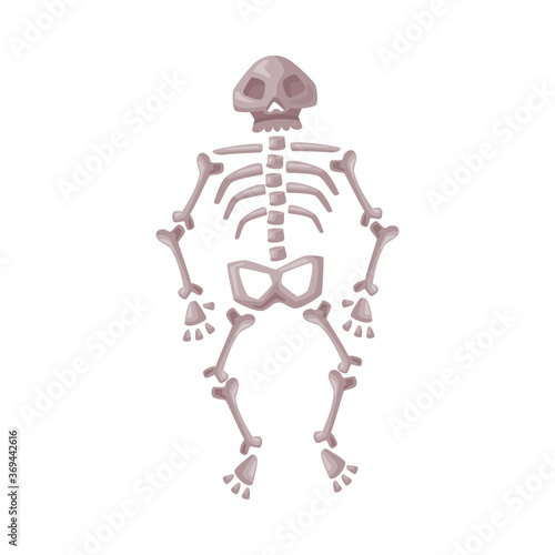 Human Skeleton, Happy Halloween Object Cartoon Style Vector Illustration on White Background