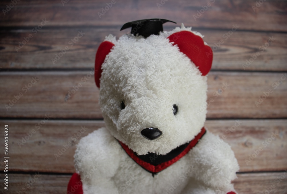 Obraz premium teddy bear on wooden background