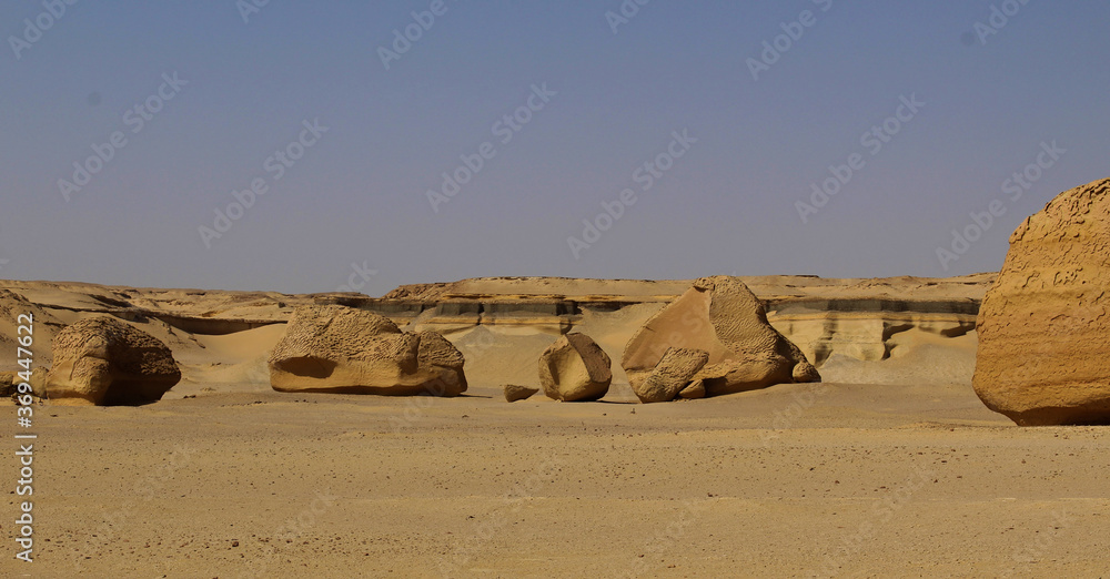 Object of fossil and desert in the exhibition display of wadi hitan Unison world heritage site at Al Fayoum, Egypt.