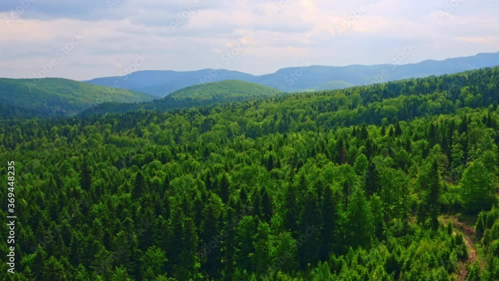 drone flying above on upper branches of forest mountains landscape nature view in cloudy day drone flying above on upper branches of forest mountains landscape nature view in cloudy day
