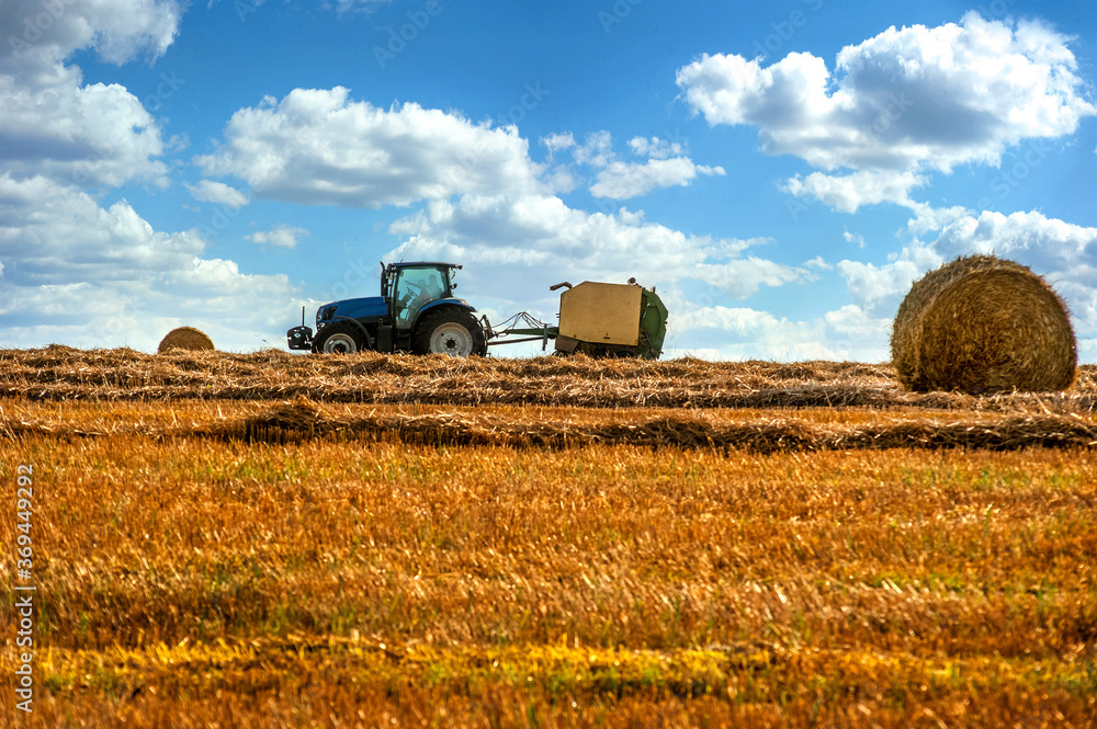 Fototapeta premium A tractor with trailed bale machine collect straw in the field and make round large bales, hay collection in the summer field.