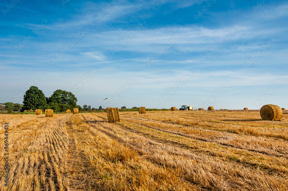 view of hay bales on the field after harvest