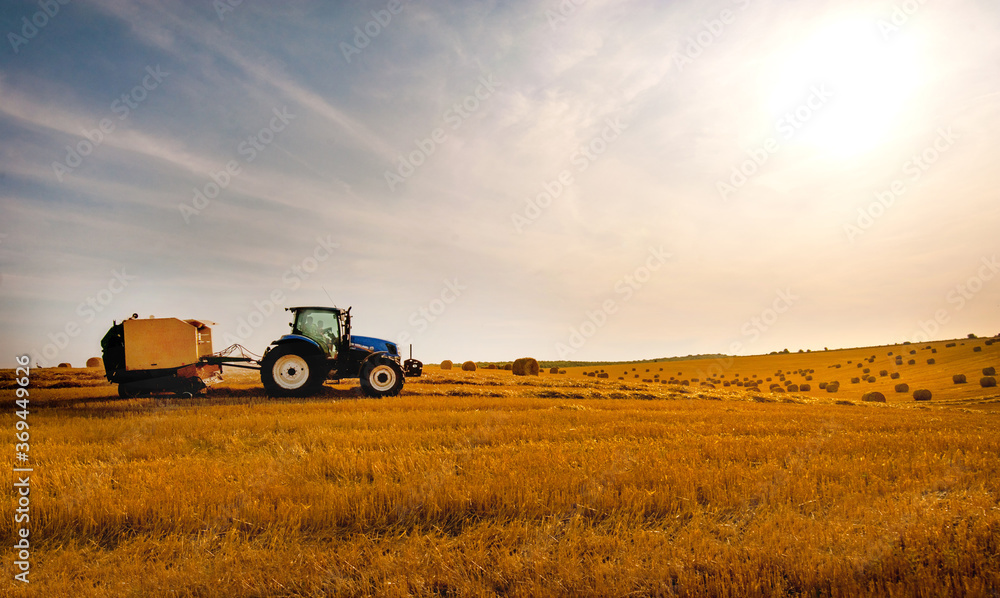 Fototapeta premium Tractor with baler for harvesting straw, harvesting hay on the hills in the evening