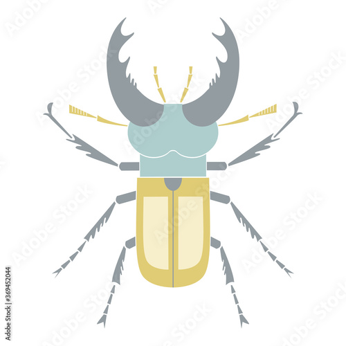 Stag beetle view from above. Insect with big horns. Isolated insect cartoon vector illustration in flat style