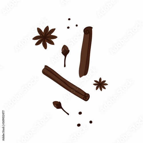 Spicy. Cinnamon and cloves, anise and pepper, aromatic spices for cooking food and drink, design elements vector illustration on white background