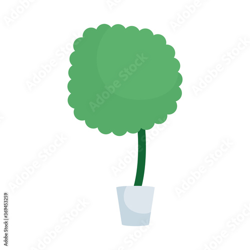 houseplant in pot office decoration
