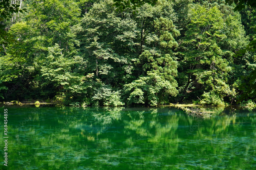 夏の龍ヶ窪 夏の龍ヶ窪