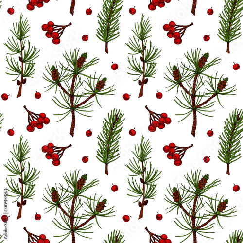Hand drawn forest and Christmas seamless pattern with evergreen tree branches and red berries isolated on white background. Vector illustration in colored sketch style