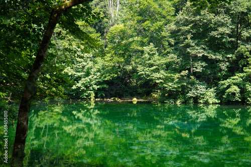 夏の龍ヶ窪