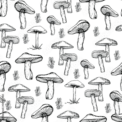 Mushroom pattern. Handmade graphics. Coloring book for children. Edible mushrooms and toadstools. Healthy food illustration. Autumn forest plants sketches for textiles, wallpaper, coloring, packaging