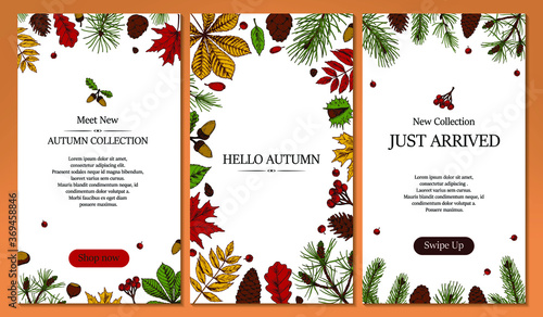 Set of vertical social network stories templates with hand drawn elements. Autumn design for banners, cards, announcements, newsletters in colored sketch style. Vector illustration. Space for text