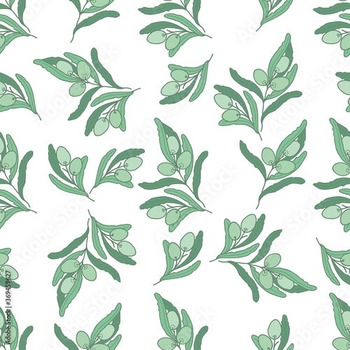 Seamless pattern with branch olives on white background, vector illustration