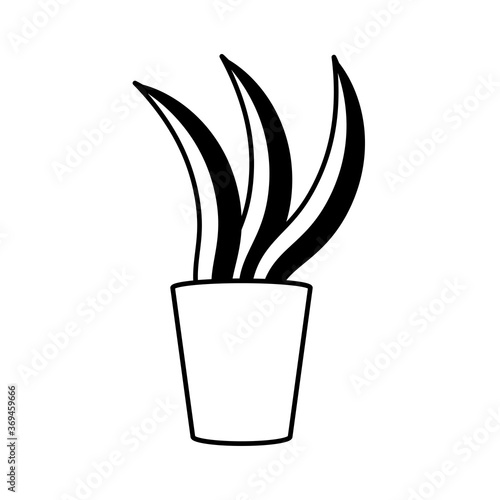houseplant in pot office decoration