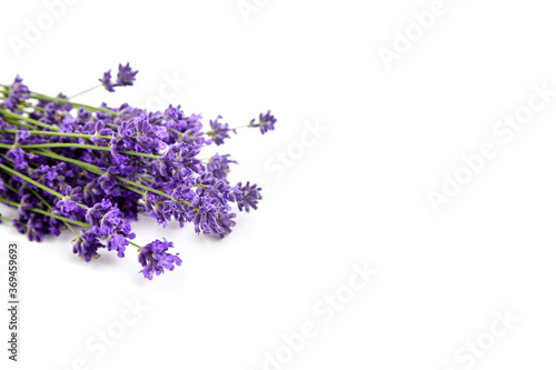 Lavender flowers isolated on white background