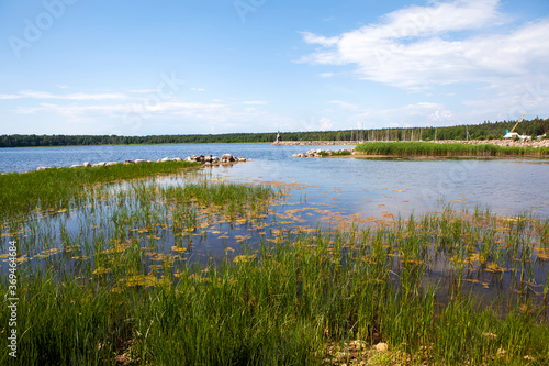 Picturesque Dubkovaya Bay of the Gulf of Finland with a view of the chapel of St. Nicholas the Wonderworker. Recreation center 