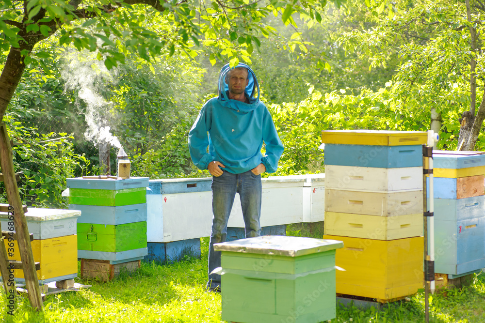 A beekeeper in a protective suit of green color stands in his apiary with single-body beehives and multi-body beehives. Apiary on the plot. Private business in agribusiness. A beekeeper in a protective suit of green color stands in his apiary with single-body beehives and multi-body beehives. Apiary on the plot. Private business in agribusiness.