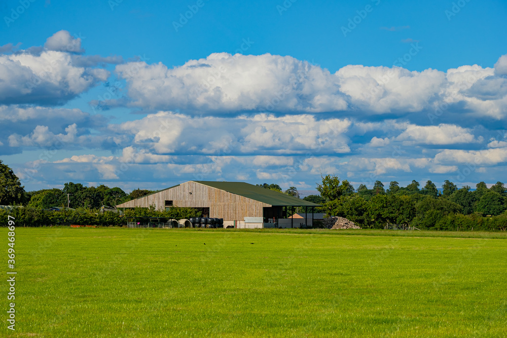 Green grass field background in England Green grass field background in England