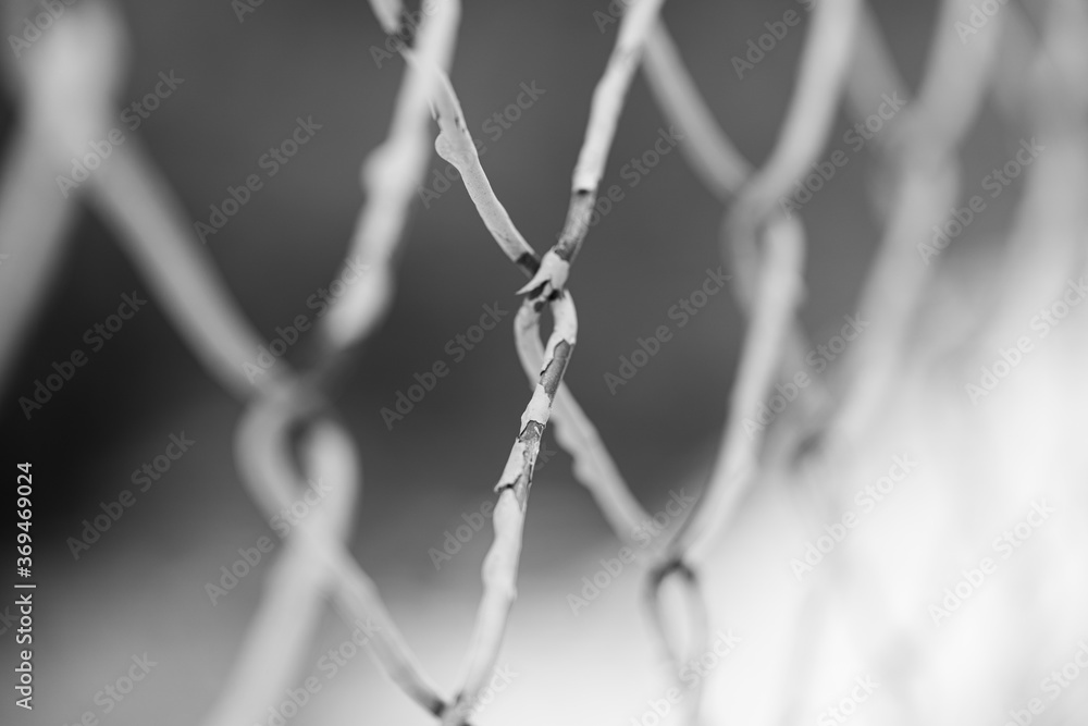 Closeup cage metal wire, black and white background.