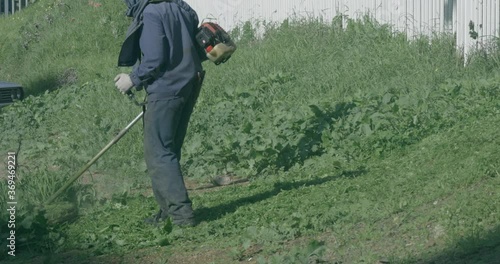 Gras Cutting:Two weedeater operators mow down the overgrown weeds and grass on a plot of land