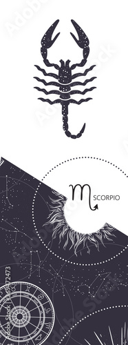 Zodiac background. Constellation Scorpio. Antique style. Vertical banner.