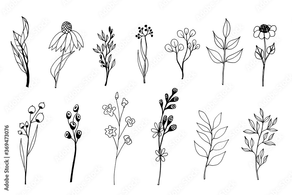 Plakat Illustration of plants. Isolated on white.
