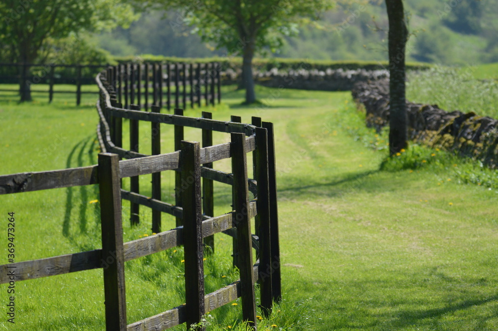 old wooden fence