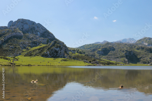 Lago y montañas Covadonga.