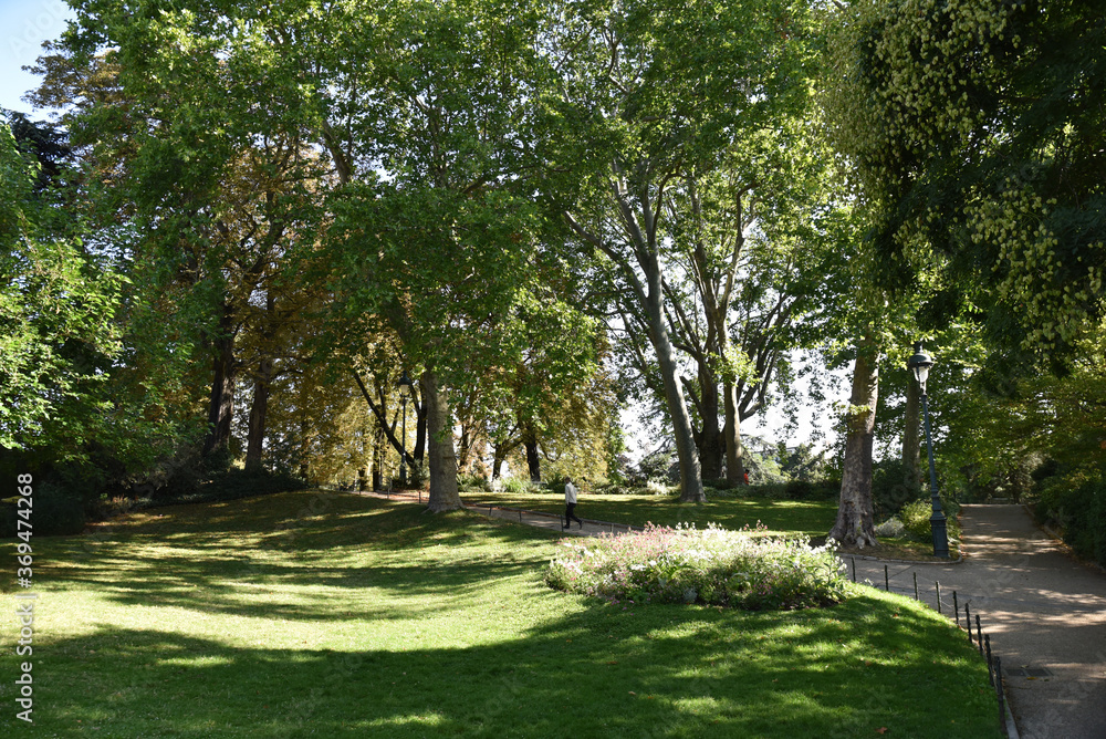 Grands arbres du parc Montsouris à Paris en été, France Grands arbres du parc Montsouris à Paris en été, France
