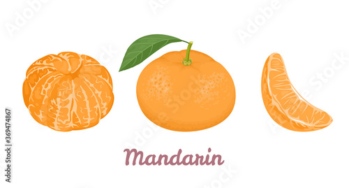Mandarin or tangerine set. Vector illustration of whole citrus fruit with green leaf, peeled and slice isolated on white background. Cartoon flat style.