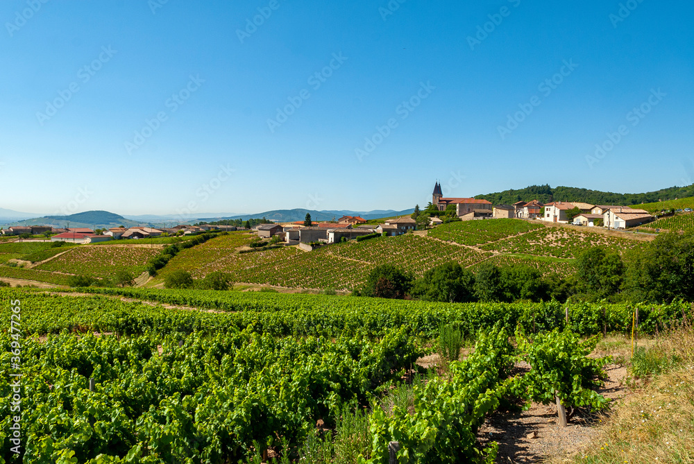 Le village de Saint-Joseph-en-Beaujolais dans le vignoble du Beaujolais dans le département du Rhône en France