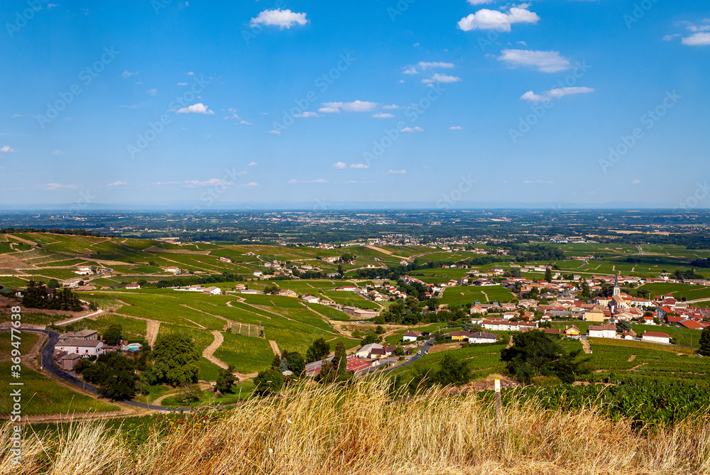 Paysage du vignoble du Beaujolais autour du village de Fleurie dans le département du Rhône en France