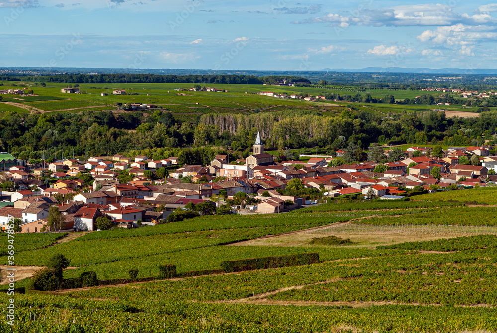 Obraz premium Le village de Cercié dans le vignoble du Beaujolais dans le département du Rhône en France