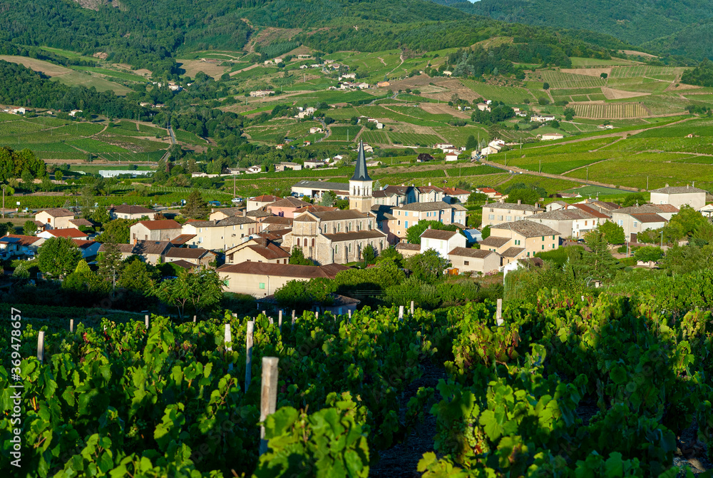 Le village de Lantignié dans le vignoble du Beaujolais dans le département du Rhône en France