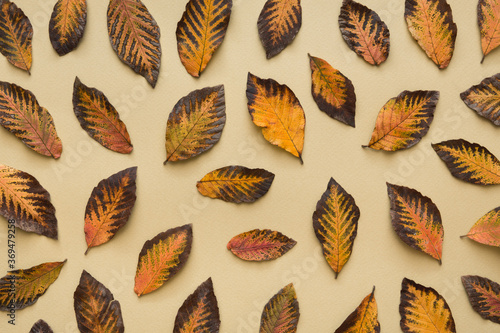 Autumn Leaves On Yellow Background