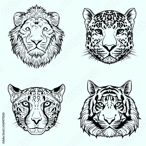 artwork illustration black and white hand drawn big wild cat bundle set premium vector