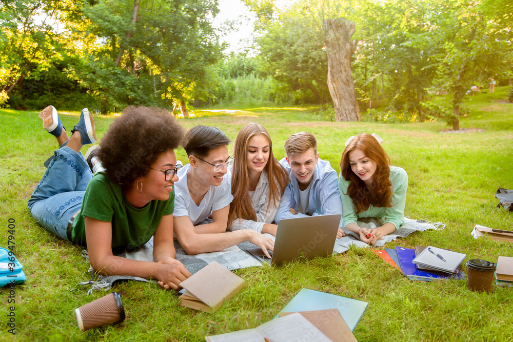 Fototapeta premium Learning Concept. Group of students preparing for exam in park with laptop