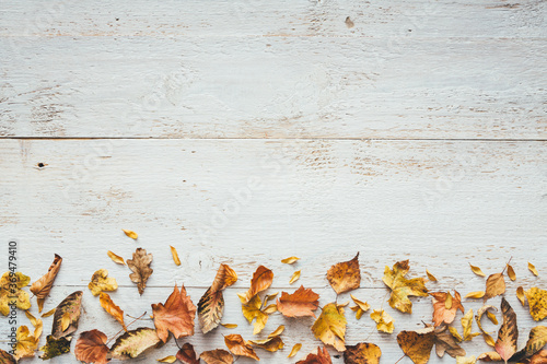 Autumn Leaves On White Wooden Planks