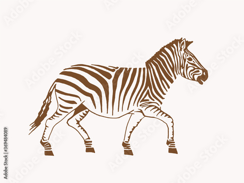 Vintage illustration of zebra, sepia background