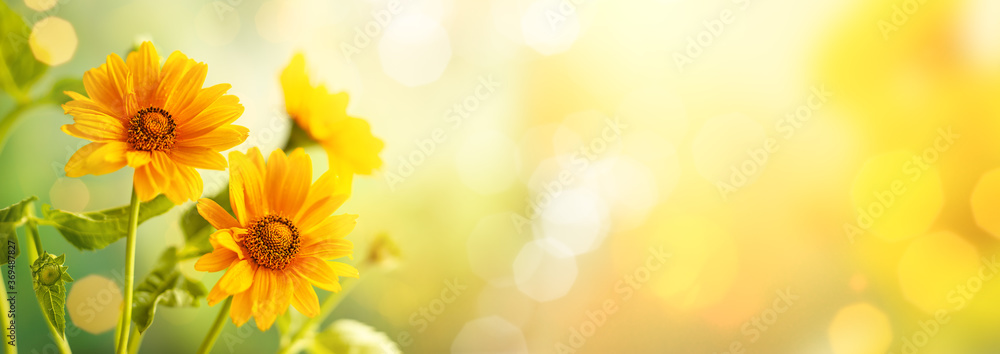 Beautiful yellow flowers on blurred background with bokeh and copy space.  Autumn or summer festive natural background. Stock Photo | Adobe Stock