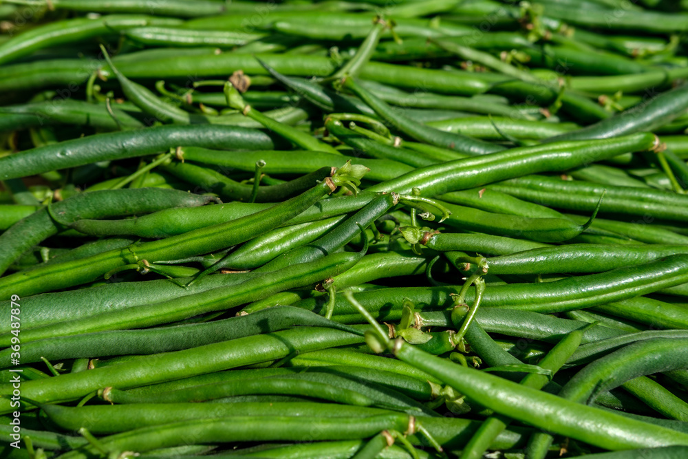 Close-up crop of dietary green beans, stacked tightly together, illuminated by the rays of the sun. Close-up crop of dietary green beans, stacked tightly together, illuminated by the rays of the sun.