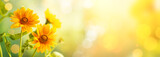 Beautiful yellow flowers on blurred background with bokeh and copy space. Autumn or summer festive natural background.