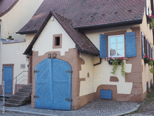 Kreisstadt Lahr im Schwarzwald - Chrysanthema photo