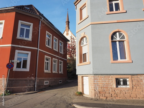 Kreisstadt Lahr im Schwarzwald - Chrysanthema photo