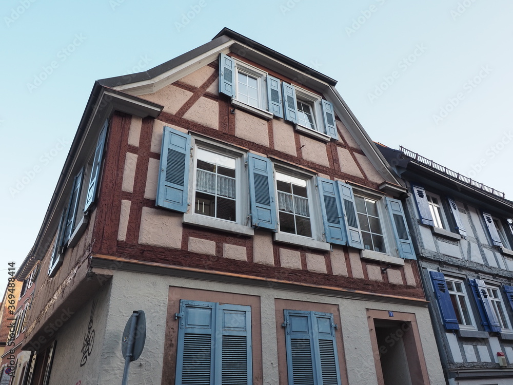 Naklejka premium Kreisstadt Lahr im Schwarzwald - Chrysanthema