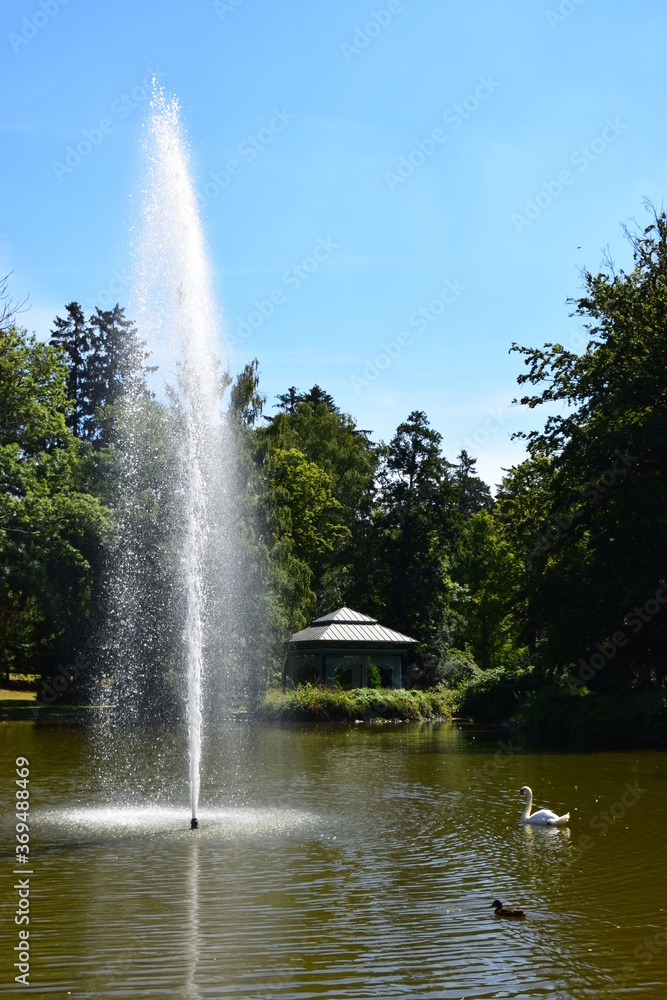 Teich mit Wasserfontäne im Kurpark von Bad Wildungen/Reinhardshausen