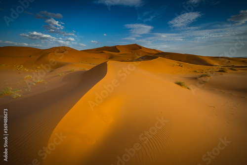 Sahara Desert  Morrocco