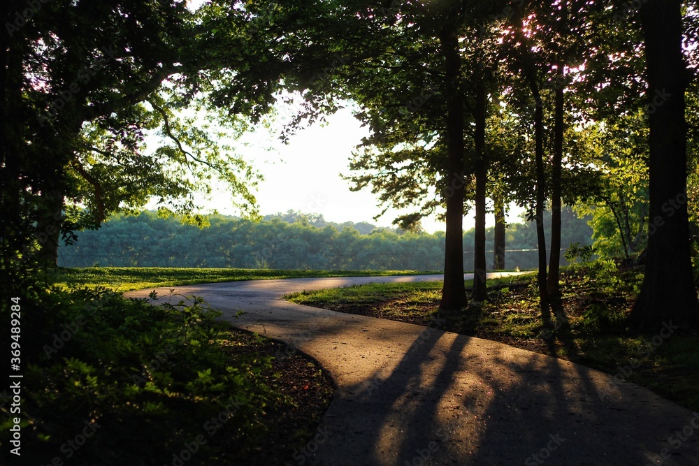 Fototapeta premium sunset in the park