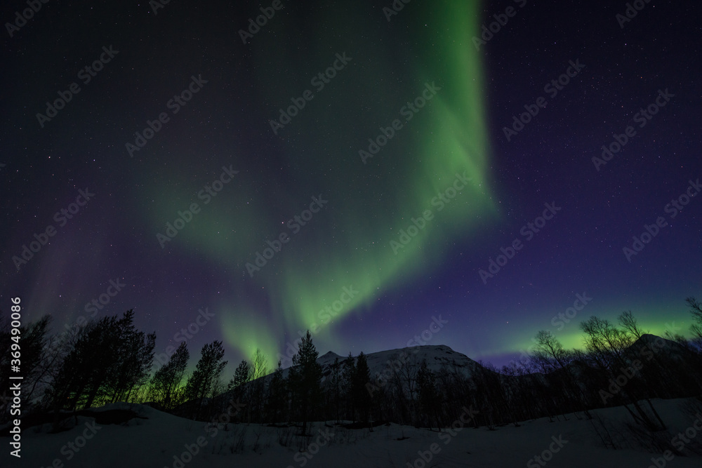 Northern Lights Northern Lights