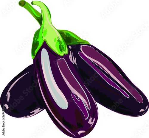 eggplant isolated on white