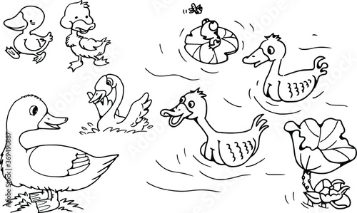 vector drawing cartoon ducks set